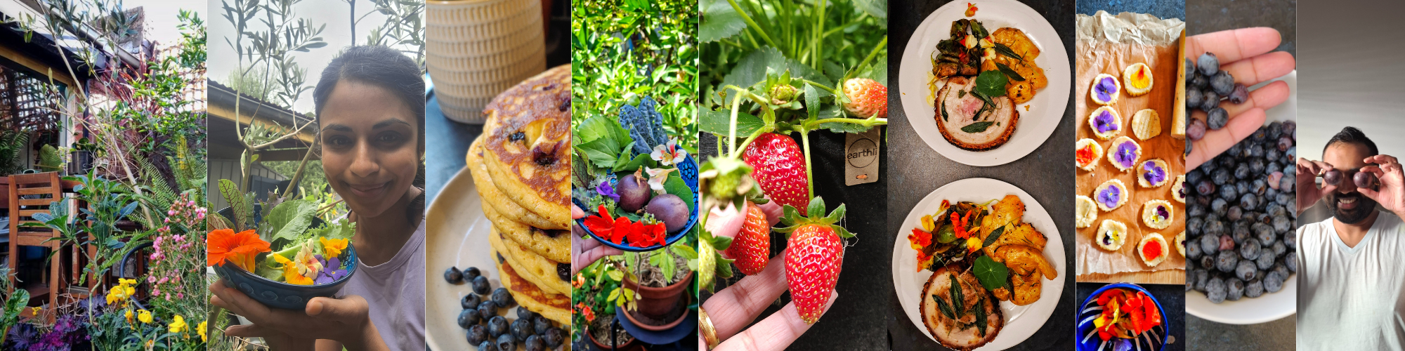 gardenBanner