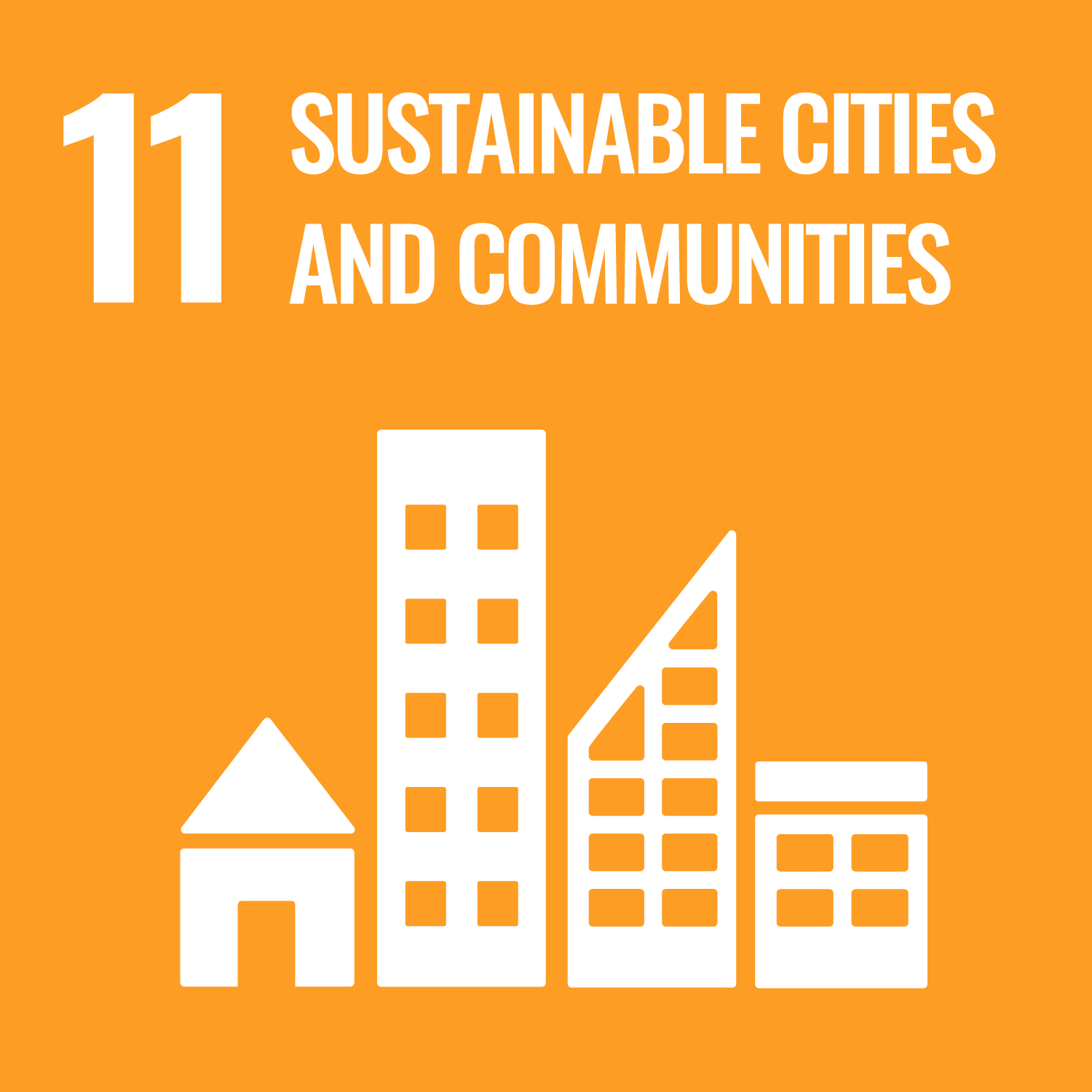 UN SDG icon