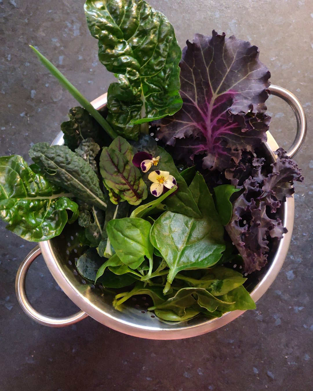 Harvest of vegetables